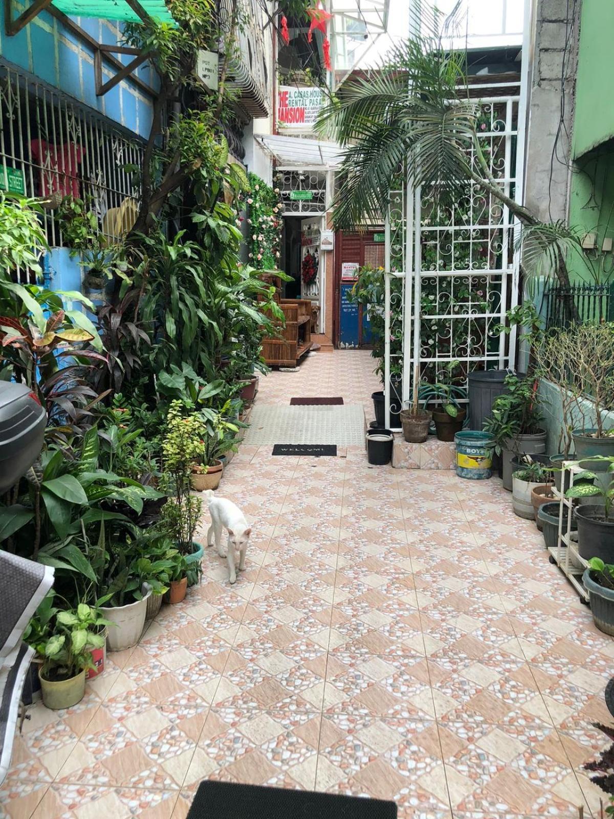 The Mansion - Backpackers Near Airport Daire Manila Dış mekan fotoğraf